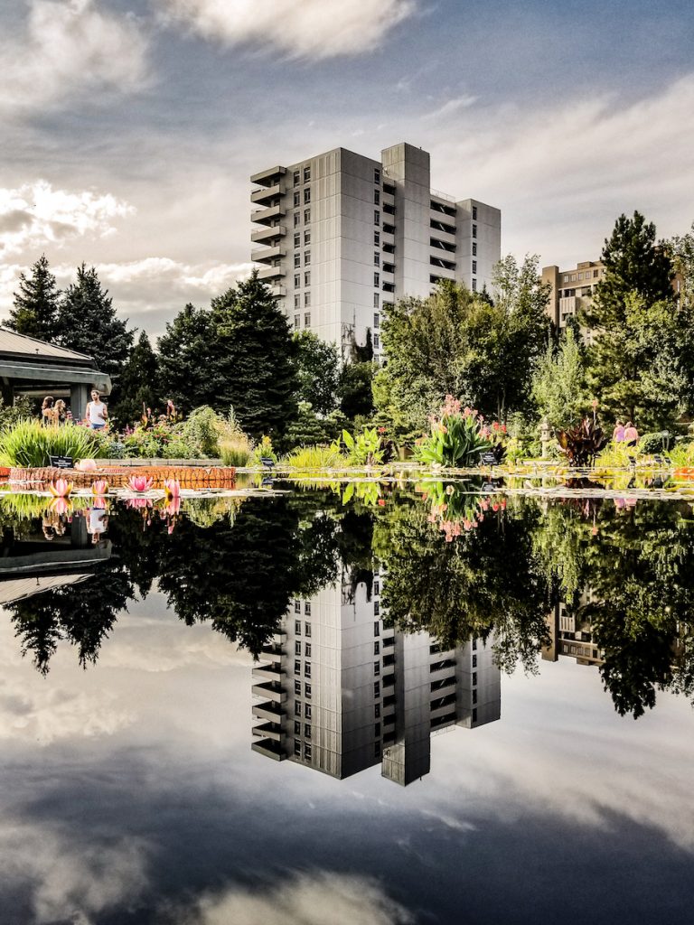 Botanical Gardens reflection